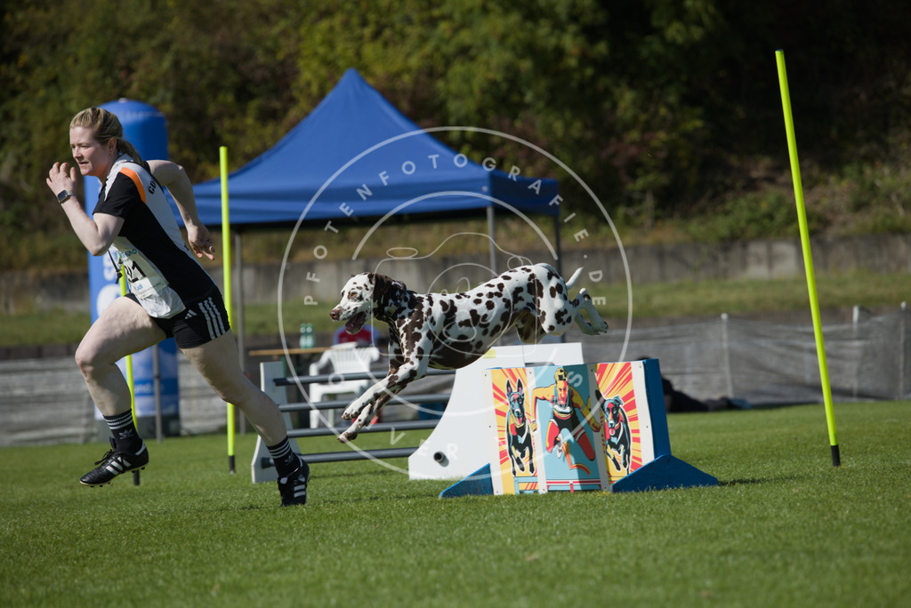 0L8A7847 | Hundefotografie, Tierfotograf, Pfotenfotografie, Fotoshooting Hund, Hunde Portrait, Hundesport, Hundeportraits, Heideshooting, Hunde, Sportfotograf, Hundefotograf, Turnierhundsport, THS,  - Realisiert mit Pictrs.com