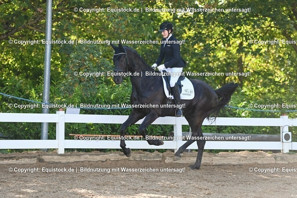 20230715_06_Dressurpferdeprfg. Kl.A_0020 | equistock