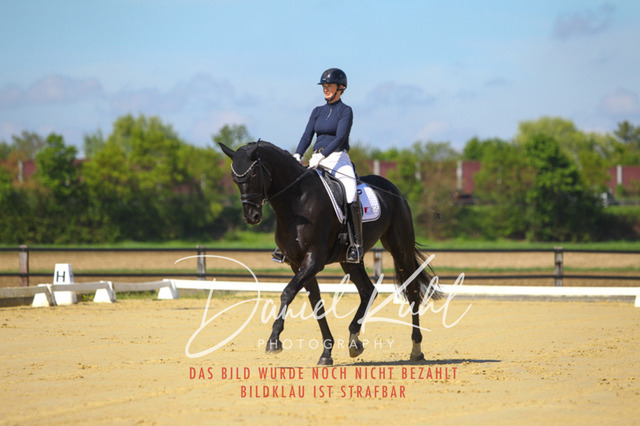 DKP42998 | Turniersportfotografie; Pferdefotografie; Dressurfotografie