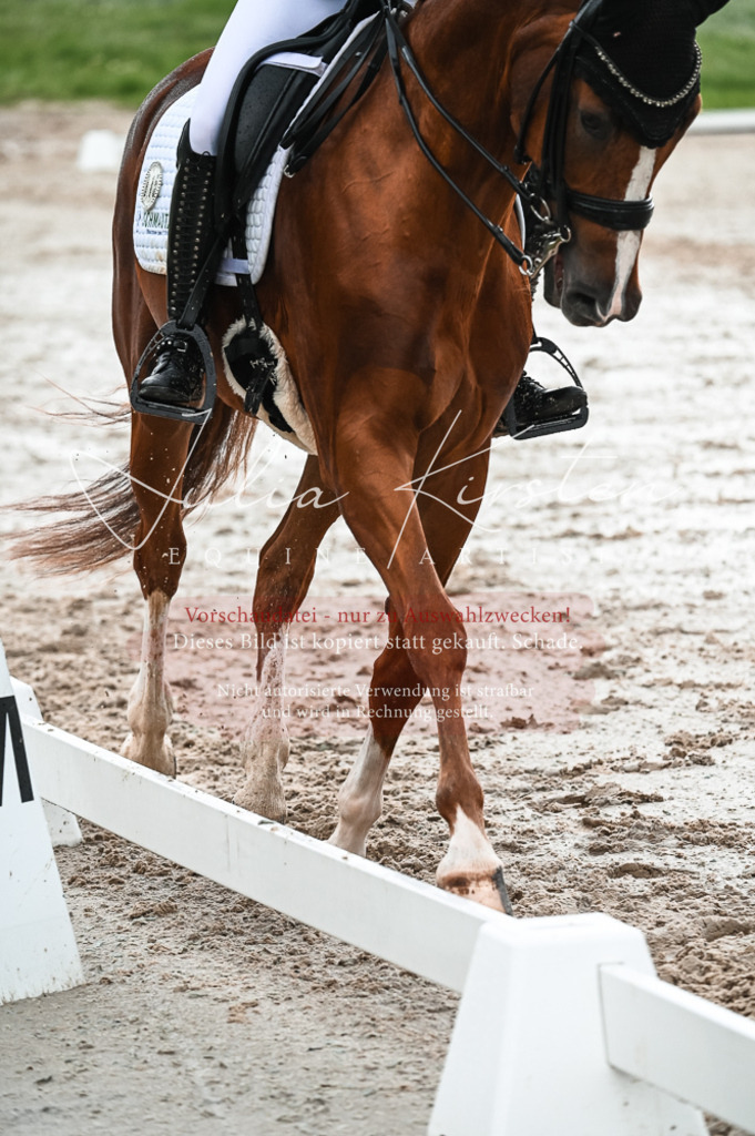 DSC_4280 | Pferde- und Turnierfotografie in Westsachsen. Pferdeportraits, Auftragszeichnungen und intuitive Kunst.