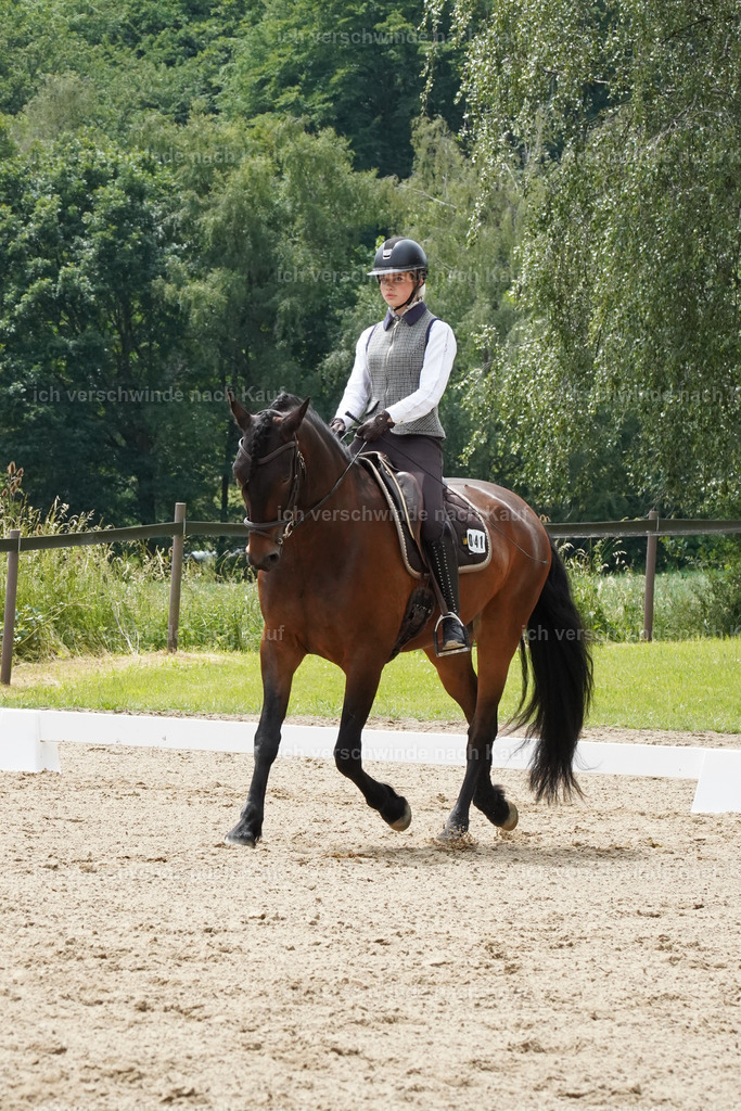 KlasseE_Lucie468 | working equitationturnier fotograf videograf stoibphotography marixx film working equitation deutschland reitsport turnierfotografie eventfotografie equestrian events