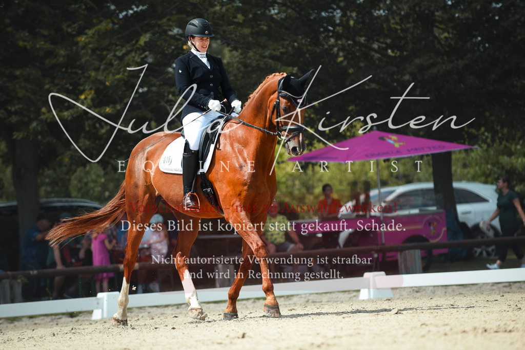 DSC_9082 | Pferde- und Turnierfotografie in Westsachsen. Pferdeportraits, Auftragszeichnungen und intuitive Kunst.