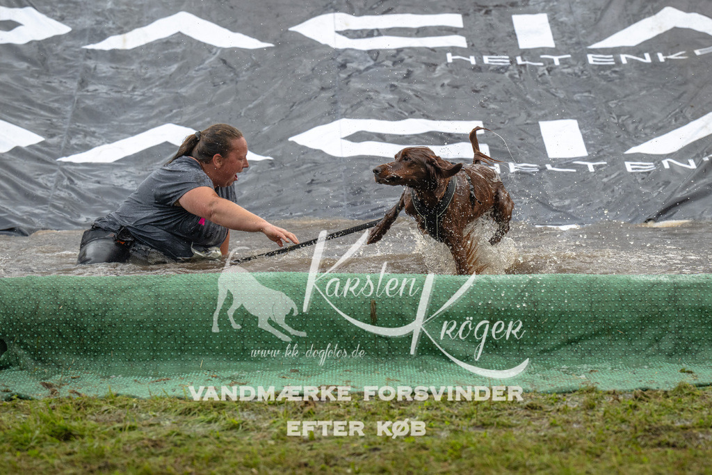 1618_ZZ90029 | kk-dogfotos