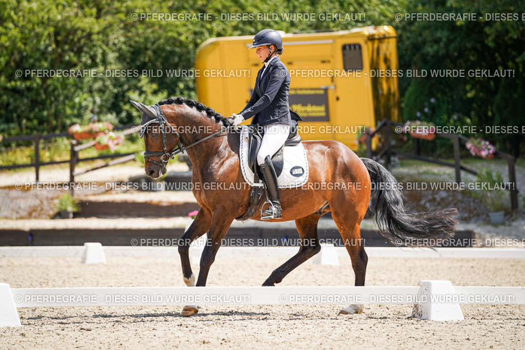 DSC01427 | Pferdegrafie