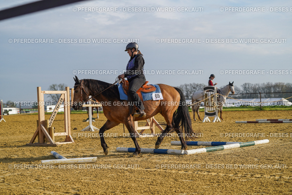 DSC00669 | Pferdegrafie