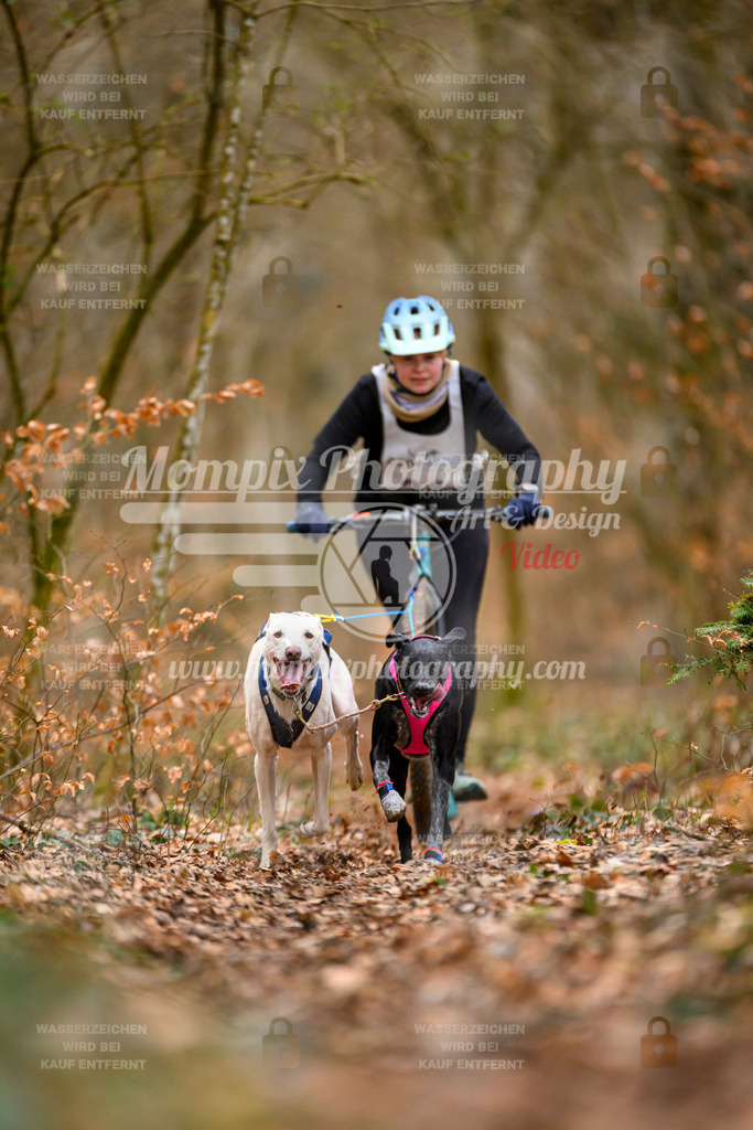 MompixPhotography_ReiatRennen2024_SO_DS2-8 | PayLife