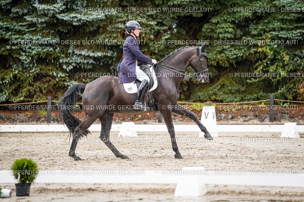 DSC09969 | Pferdegrafie