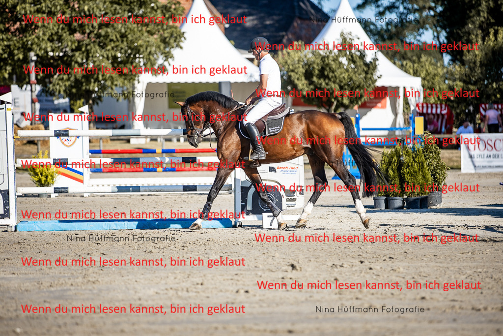 BK1A8228 | Turnierbilder Turnierfotos Nina Hüffmann Turnierfotografie Pferdefotografie Tierzeichnung Haustierzeichnung Pferdezeichnung Hundezeichnung Videograf  - Realisiert mit Pictrs.com