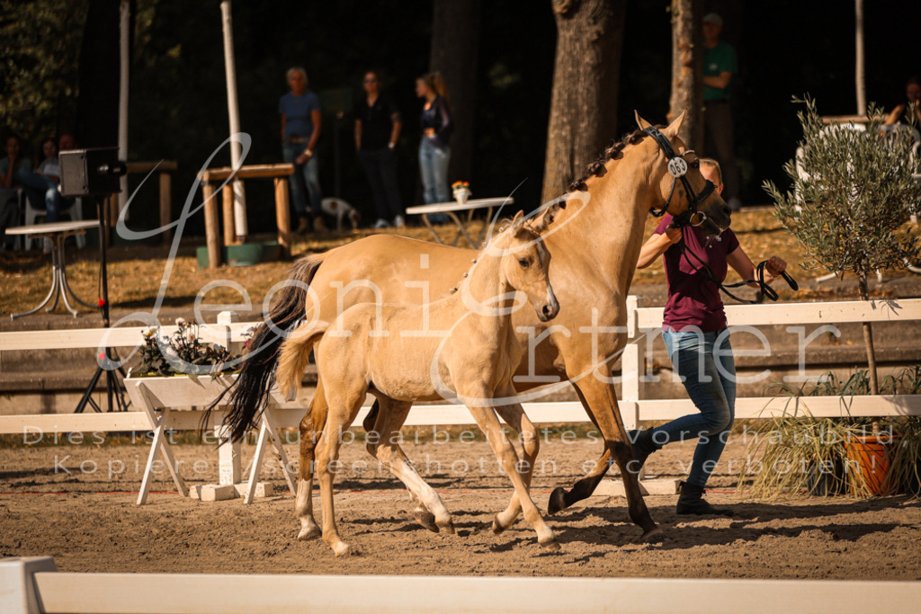10.DoRP00185 | Leoni Ertmer Photography - Realisiert mit Pictrs.com