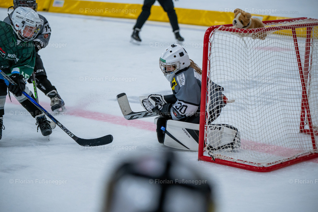 2025-03-01-Bärencup Wil-293 | "Fussifoto.com – Ihr Ansprechpartner für hochwertige Fotografie! Entdecken Sie kreative Bilder und professionelle Dienstleistungen. Kontaktieren Sie uns für Ihre Projekte!"
