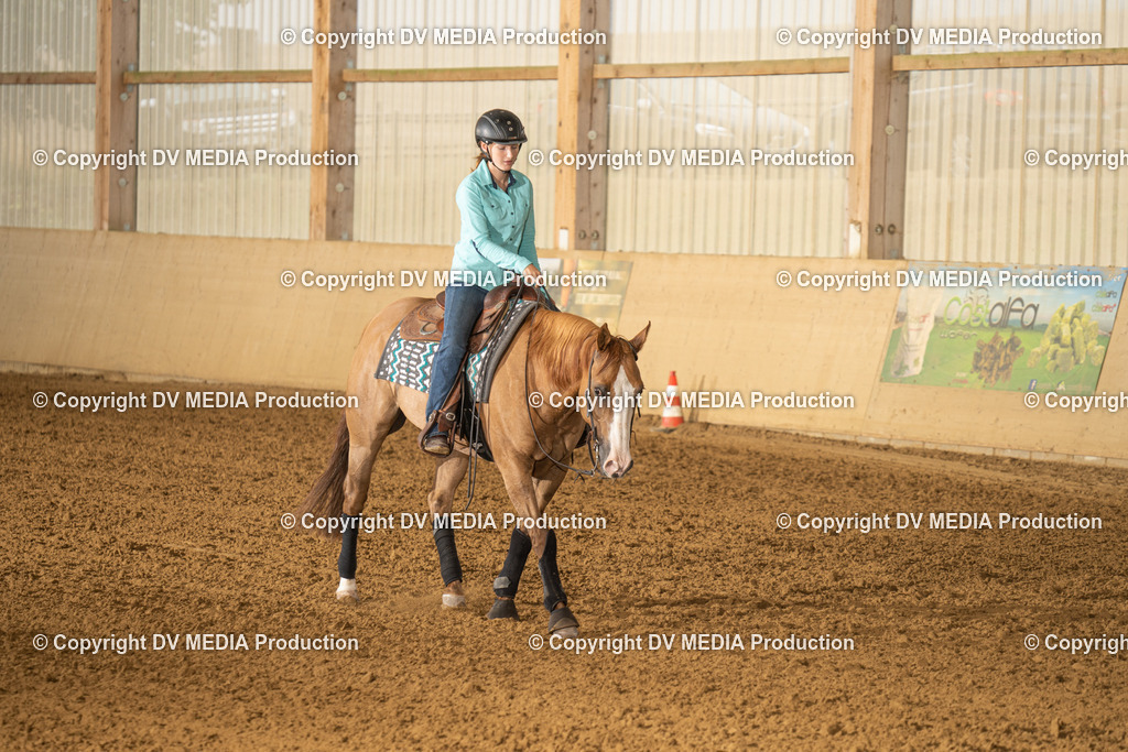 LAU00563 | dv-media-shop - Realisiert mit Pictrs.com