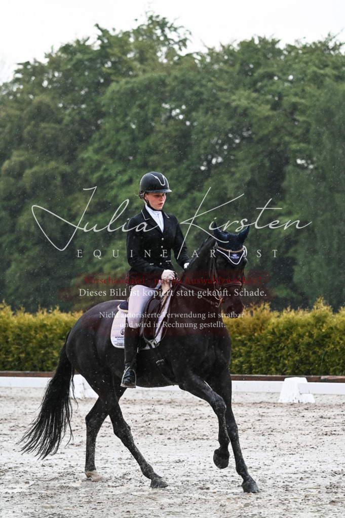 DSC_4750 | Pferde- und Turnierfotografie in Westsachsen. Pferdeportraits, Auftragszeichnungen und intuitive Kunst.