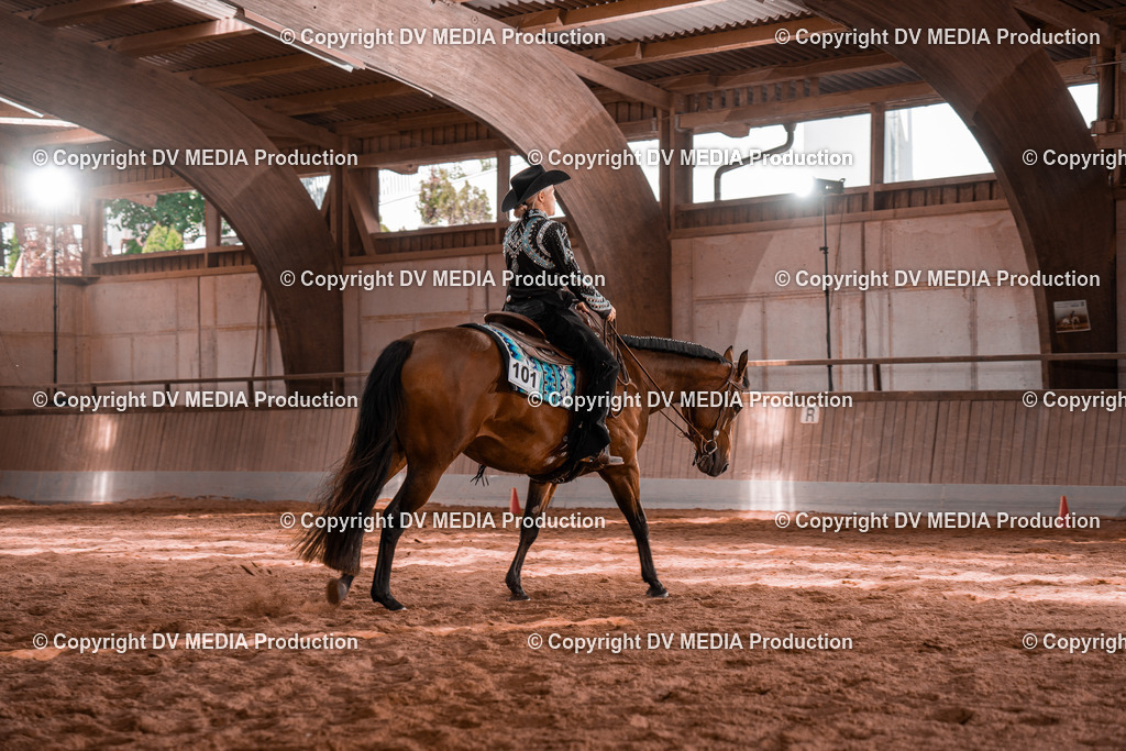 NE100503 | dv-media-shop - Realisiert mit Pictrs.com