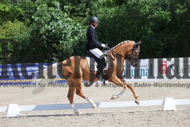 Weilheim_2025_Prfg.Nr.26_Pony-Reitpferdeprüfung_Miriam Hollenbach_Genau du SH (10) | Alle Fotos der Reiterjournal Fotografin Doris Matthaes im Reiterjournal Online-Fotoshop. - Realisiert mit Pictrs.com