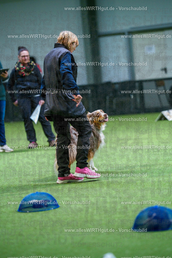 7R506370 | Professionelle Tierfotografie in Mönchengladbach von Daniel Wirth (allesWIRTHgut). Liebevolle & natürliche Bilder von Hunden & Katzen für unvergessliche Erinnerungen.