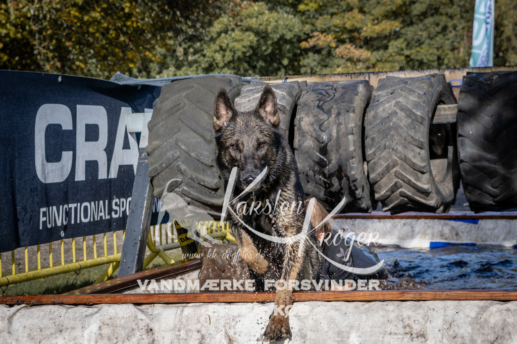 1306_ZZ91957 | kk-dogfotos