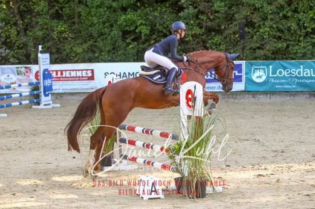 DKP42779 | Turniersportfotografie; Pferdefotografie; Dressurfotografie