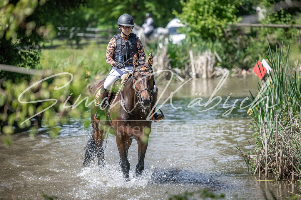 20260523-_3LI8987 | Tierfotografie Pferde, Hunde, Katzen, Haustiere.
Turnierfotografie Reitturniere, Reiten, Springreiten, Dressur in Hanau, dem Main-Kinzig-Kreis und dem Rhein-Main- Gebiet um Frankfurt