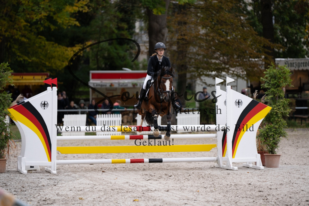 A7V00580 | Pferdefotograf