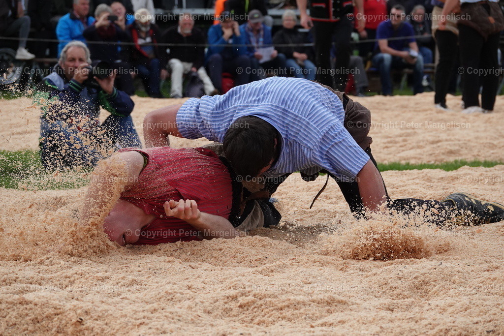 DSC00631 | Schwingen - Realisiert mit Pictrs.com
