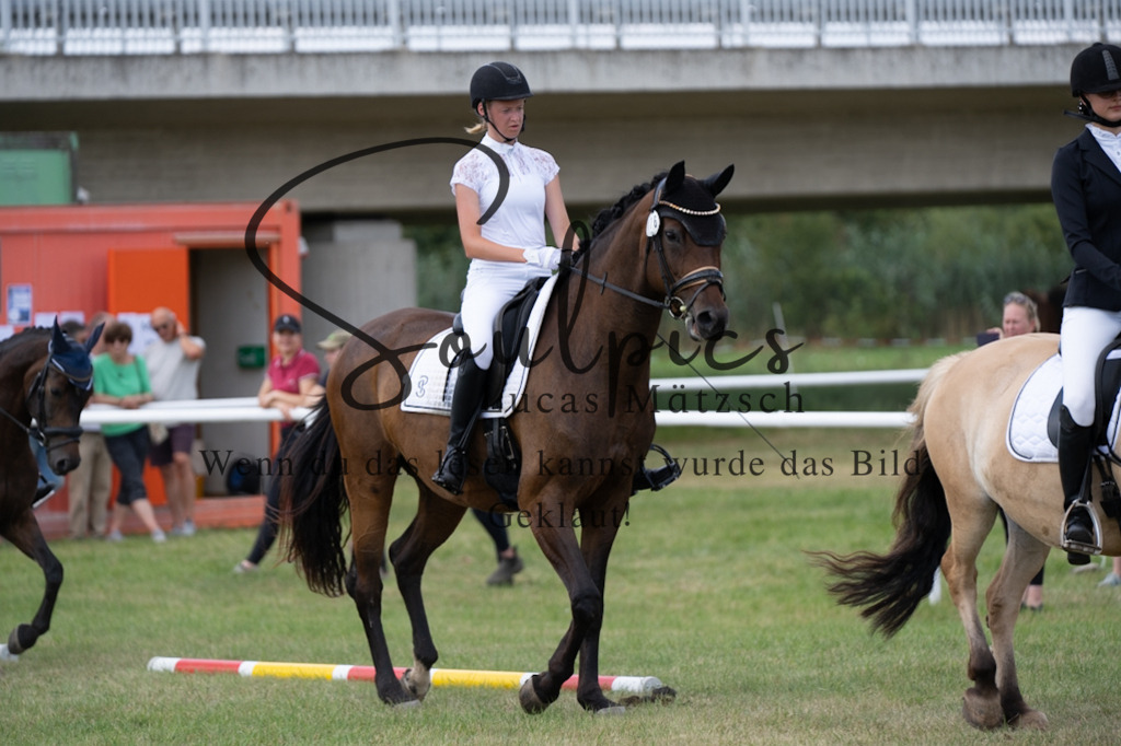 A7V00377 | Pferdefotograf