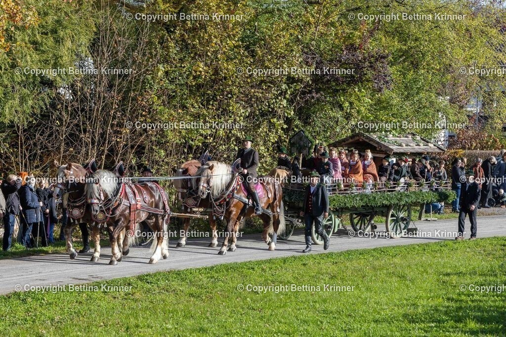 LBT24-358 | foto-bettina-krinner - Realisiert mit Pictrs.com