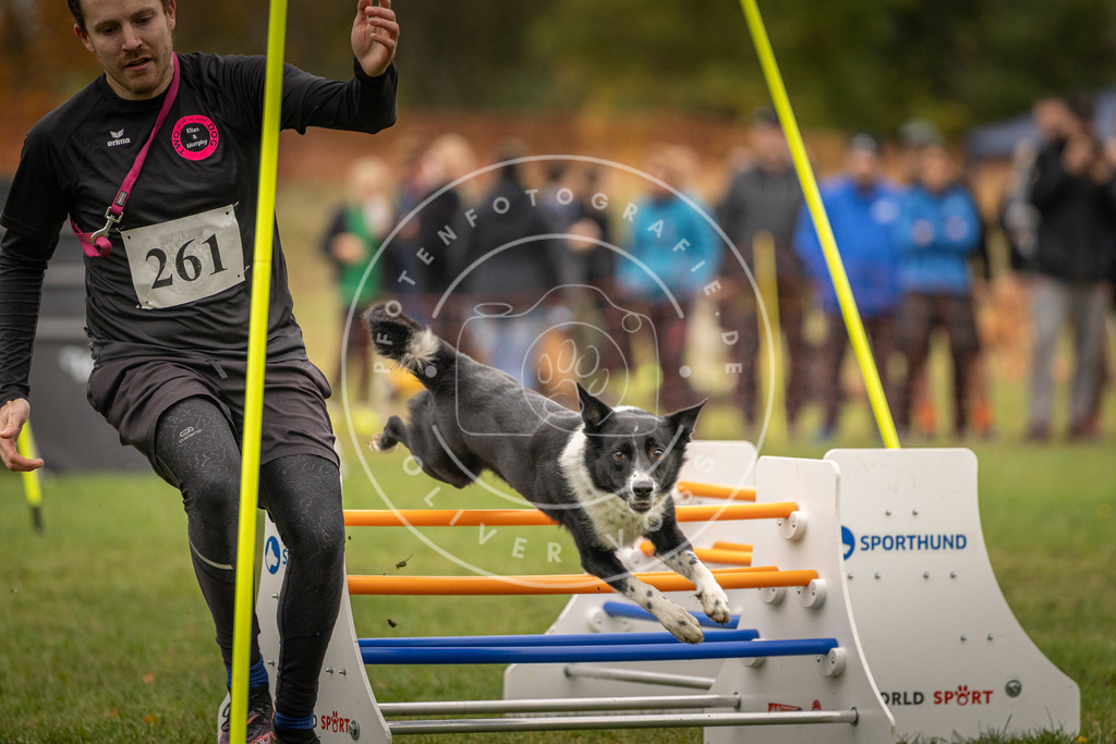 Pfotenfotografie_DV3A6771 | Hundefotografie, Tierfotograf, Pfotenfotografie, Fotoshooting Hund, Hunde Portrait, Hundesport, Hundeportraits, Heideshooting, Hunde, Sportfotograf, Hundefotograf, Turnierhundsport, THS,  - Realisiert mit Pictrs.com