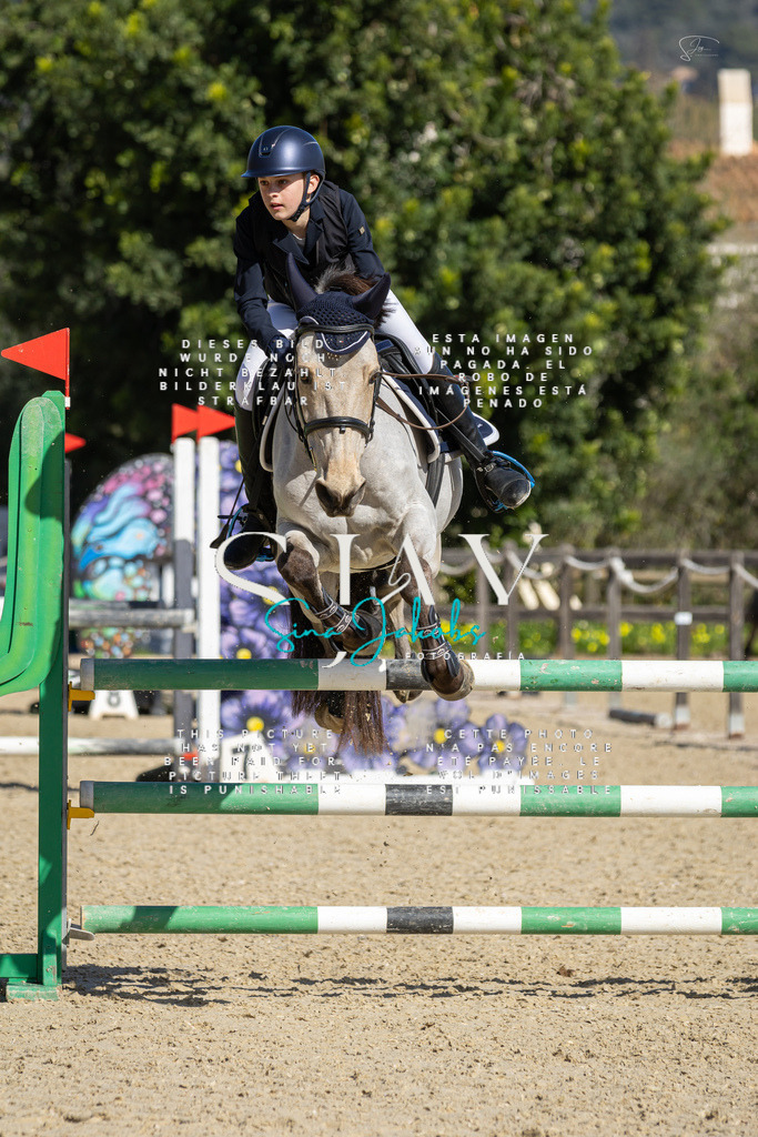 IMG_6469 | s-jay-photography - Realisiert mit Pictrs.com