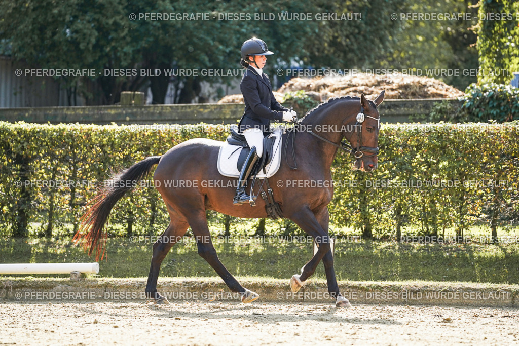 DSC06851 | Pferdegrafie