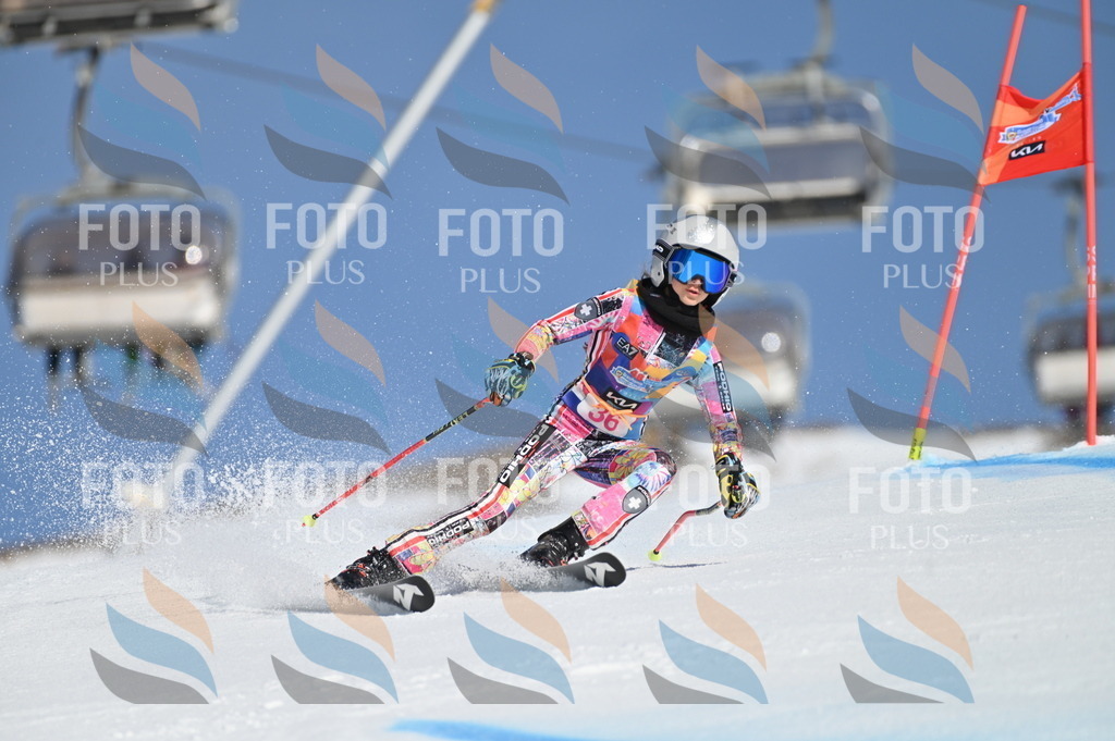 BGV_8262 | holidayphoto