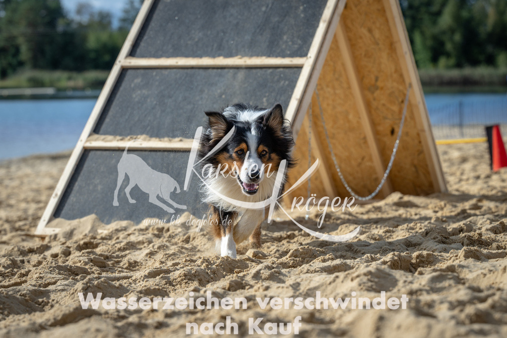 1430_ZZ91447 | kk-dogfotos