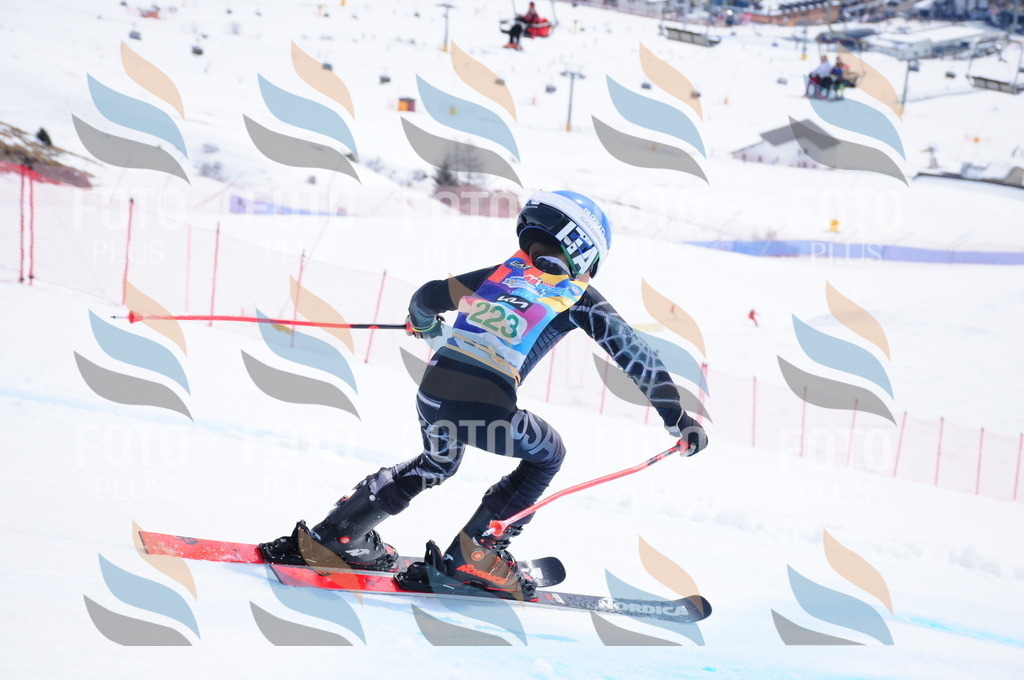 DSC_2042 | holidayphoto