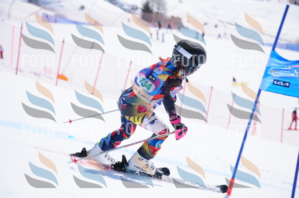 DSC_1143 | holidayphoto