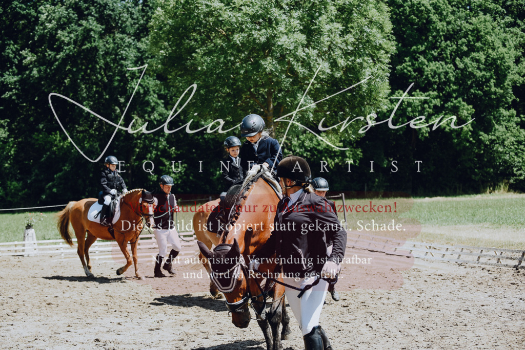 DSC_2603 | Pferde- und Turnierfotografie in Westsachsen. Pferdeportraits, Auftragszeichnungen und intuitive Kunst.