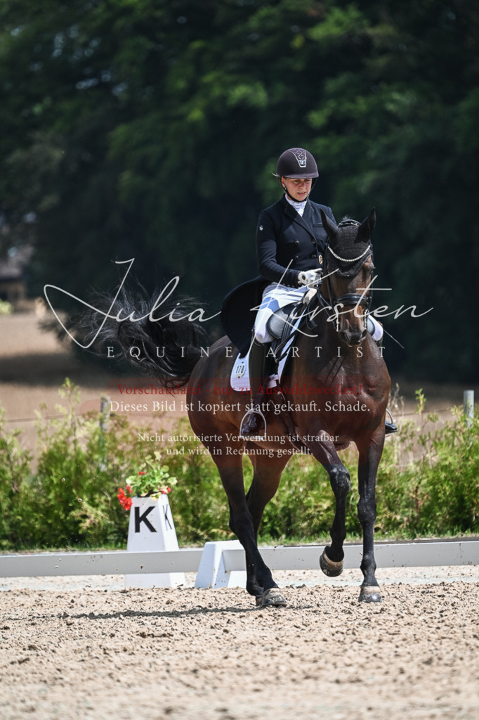 DSC_2597 | Pferde- und Turnierfotografie in Westsachsen. Pferdeportraits, Auftragszeichnungen und intuitive Kunst.