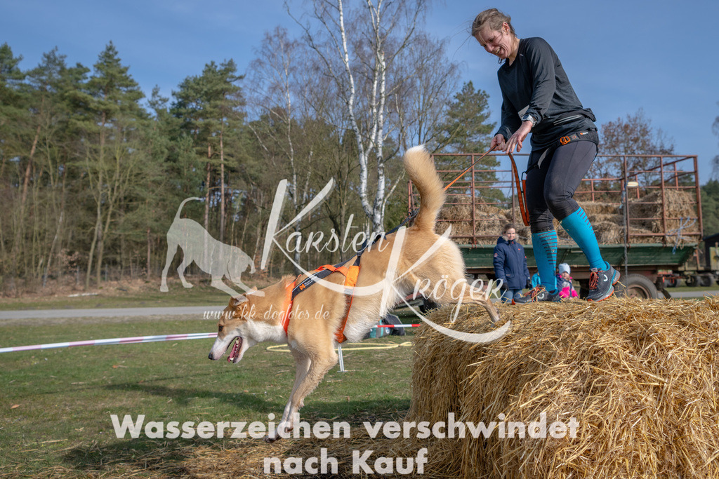 _ZZ92255 | kk-dogfotos