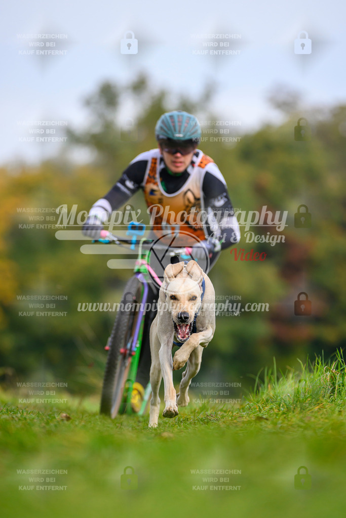 MompixPhotography_CDLBDB2025_DI_DS-48 | PayLife