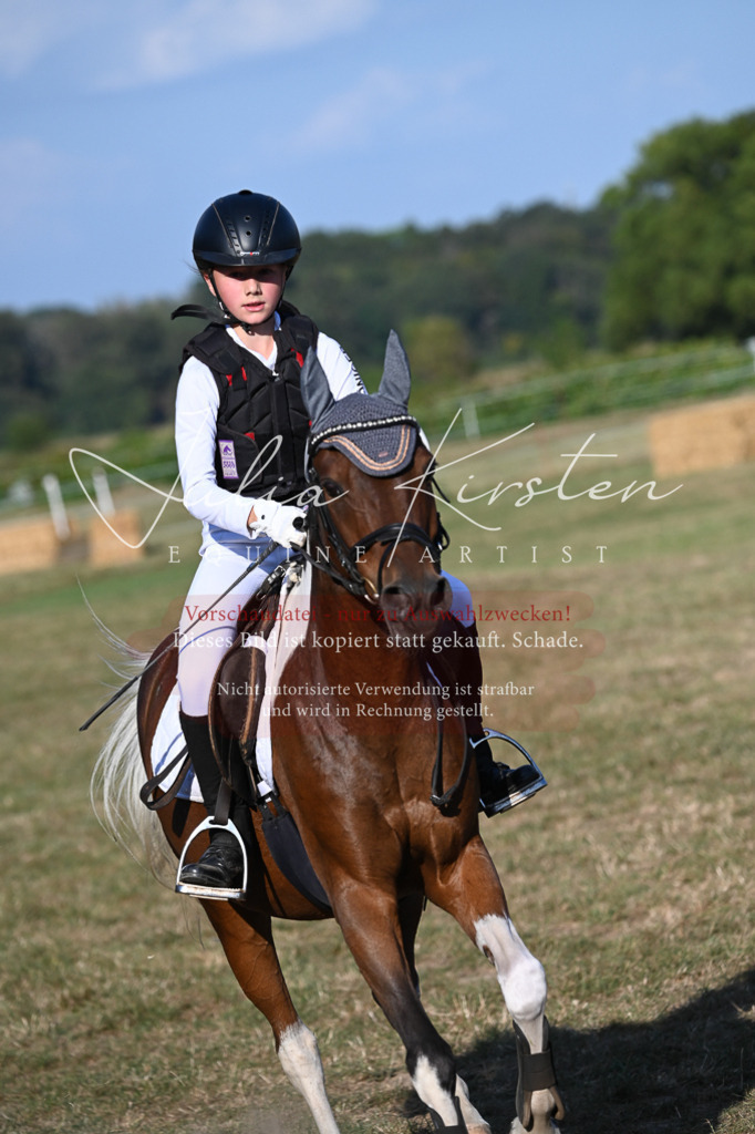 DSC_8994 | Pferde- und Turnierfotografie in Westsachsen. Pferdeportraits, Auftragszeichnungen und intuitive Kunst.