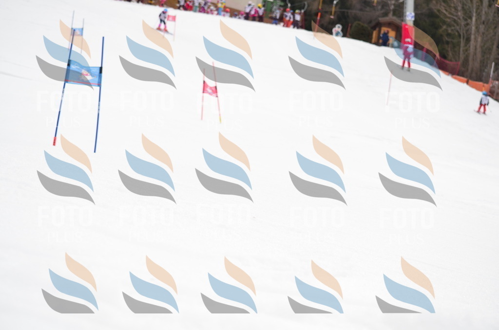 B9954 | holidayphoto