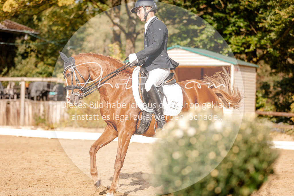 3I6A2975 | Stimmungsvolle Portraits und Reitsportfotografie im Ruhrgebiet und im Münsterland.

Pferdefotografie, Hundefotografie, Tierfotografie, Reportagen, Portraits von Tier und Mensch, Turnierfotografie in Bochum, Recklinghausen, Marl, Haltern am See, Dülmen.. - Realisiert mit Pictrs.com