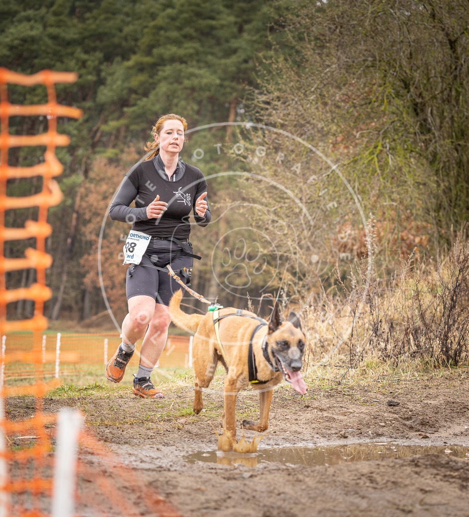 DV3A0532 | Hundefotografie, Tierfotograf, Pfotenfotografie, Fotoshooting Hund, Hunde Portrait, Hundesport, Hundeportraits, Heideshooting, Hunde, Sportfotograf, Hundefotograf, Turnierhundsport, THS,  - Realisiert mit Pictrs.com