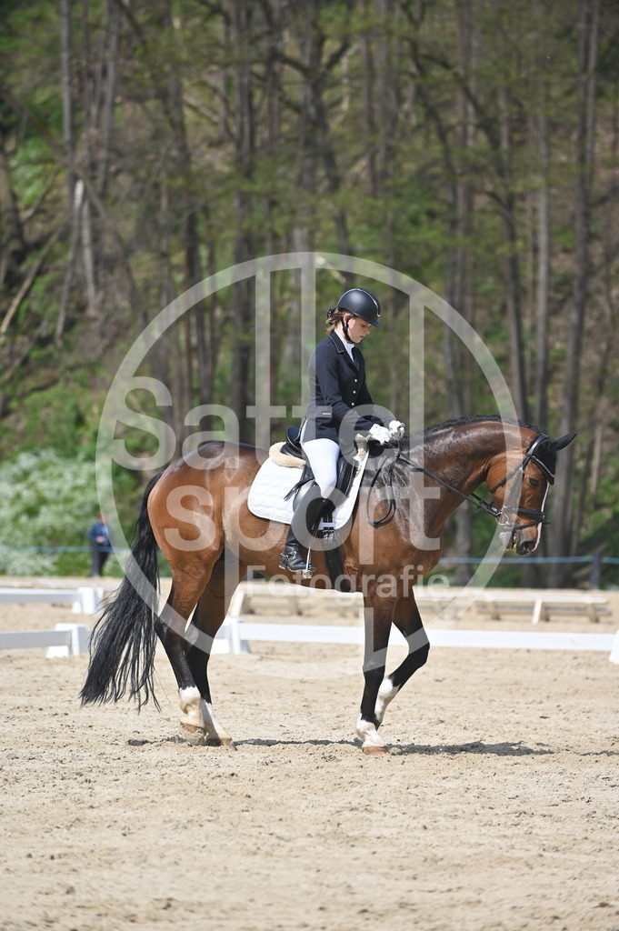 DSC_2348 | sattelsport - Realisiert mit Pictrs.com