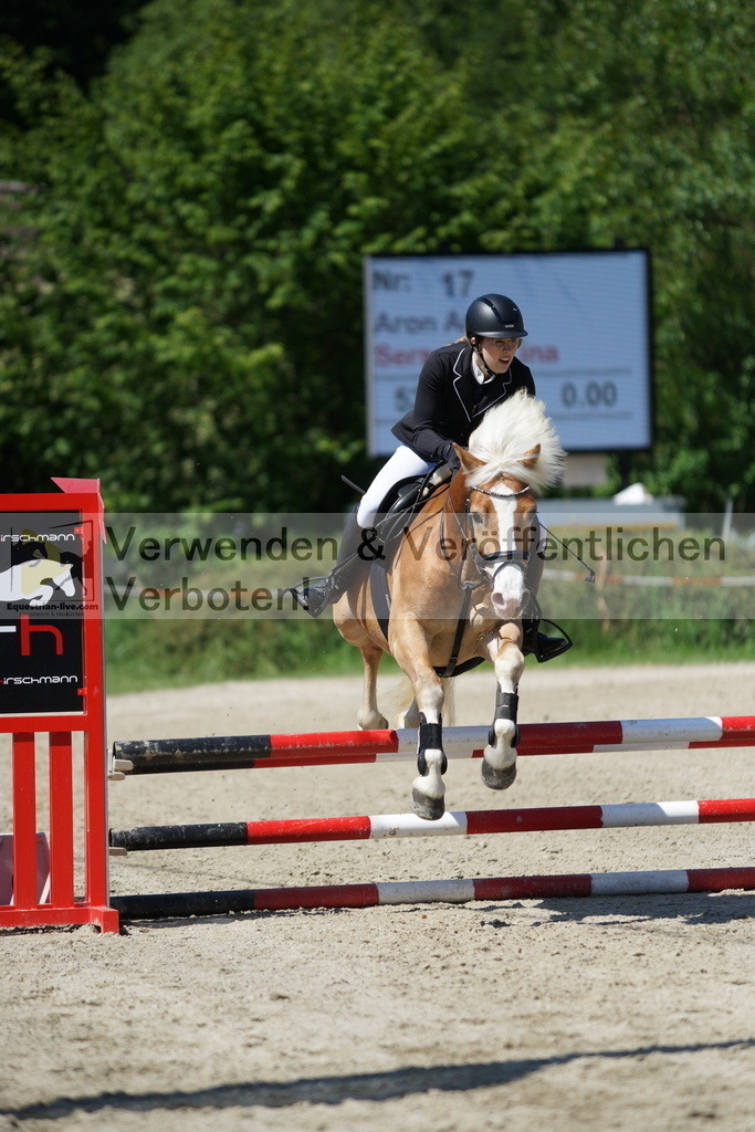 DSC06265 | equestrian-live-com