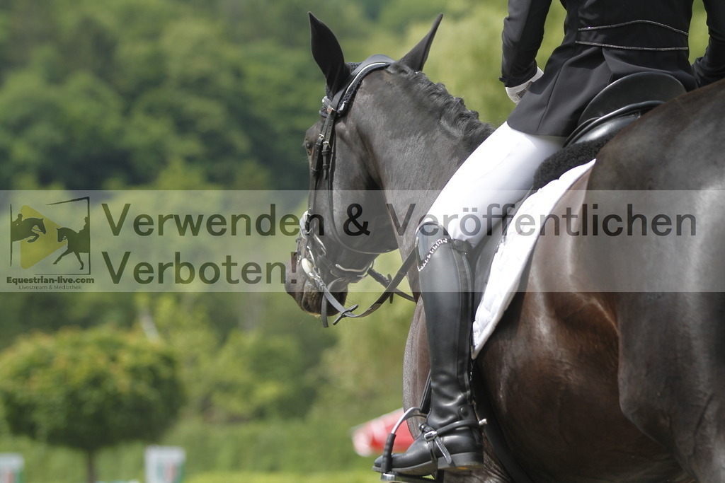 _MG_9097 | equestrian-live-com