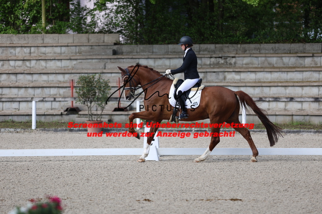 A40A3451 | lmwpictures - Realisiert mit Pictrs.com