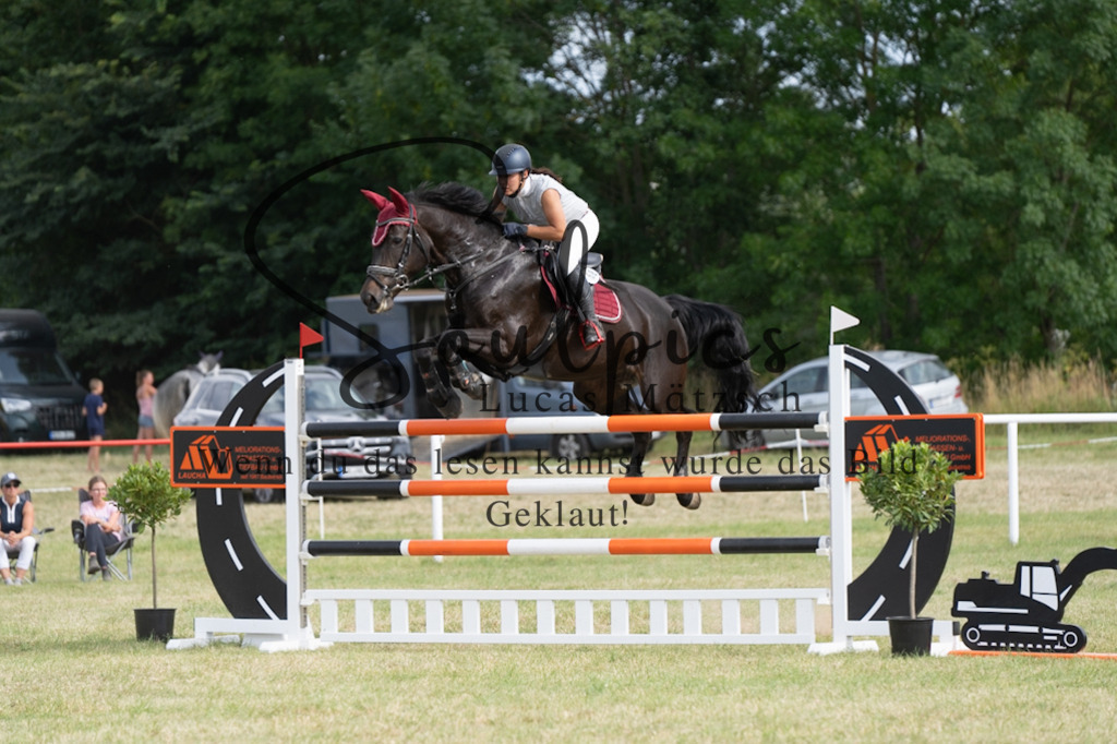 A7V02684 | Pferdefotograf