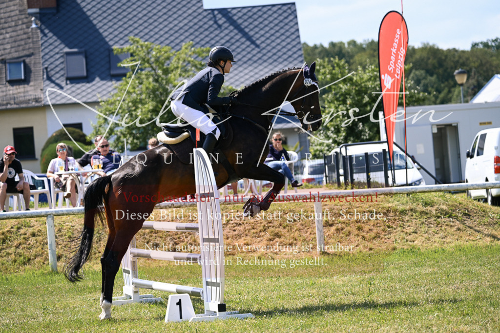 DSC_0486 | Pferde- und Turnierfotografie in Westsachsen. Pferdeportraits, Auftragszeichnungen und intuitive Kunst.