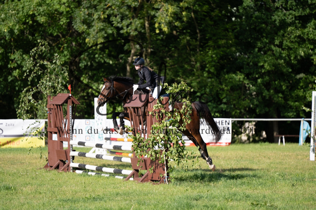 A7V05209 | Pferdefotograf