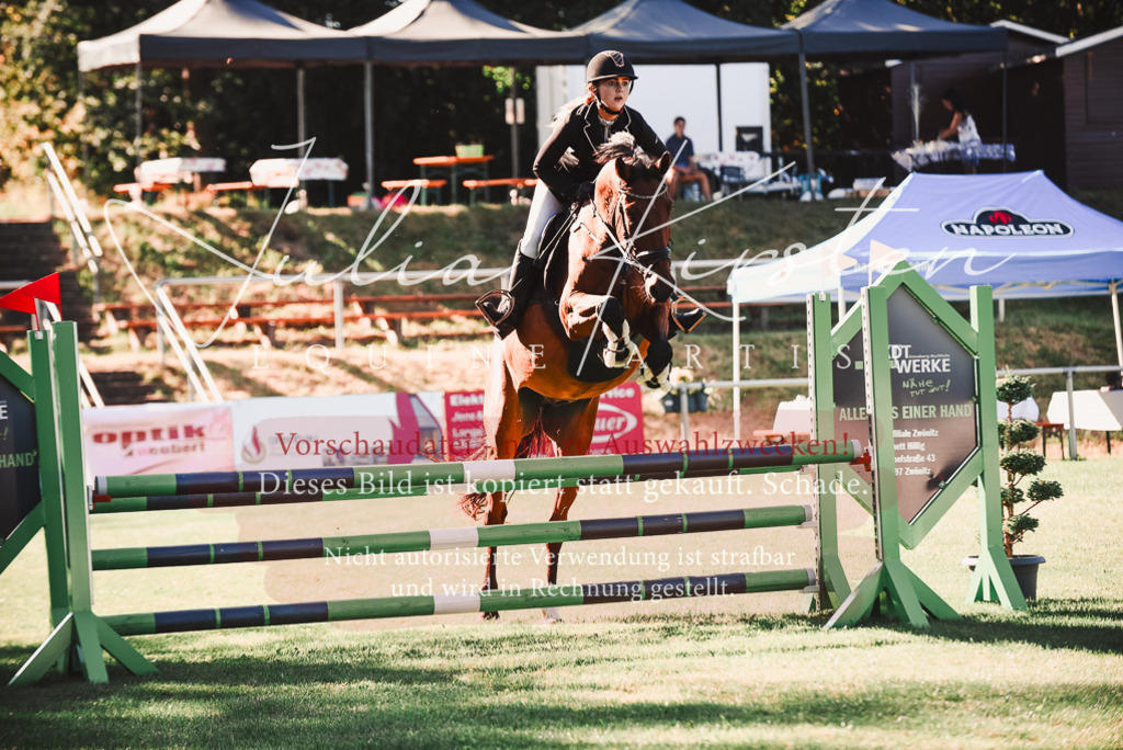 DSC_2223 | Pferde- und Turnierfotografie in Westsachsen. Pferdeportraits, Auftragszeichnungen und intuitive Kunst.