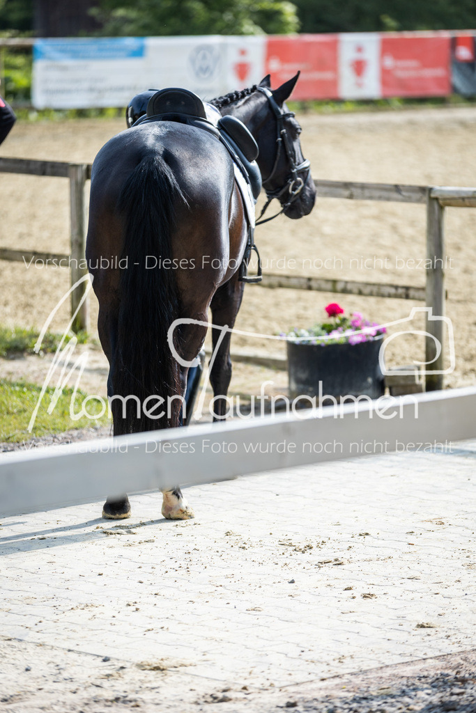 HH-Randmomente-005-2 | MomenTaufnahmen Pferdesportfotos